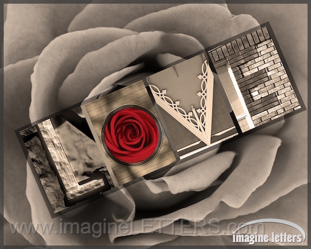 Wall_Art_Alphabet_Photography_Art_ 1383.jpg